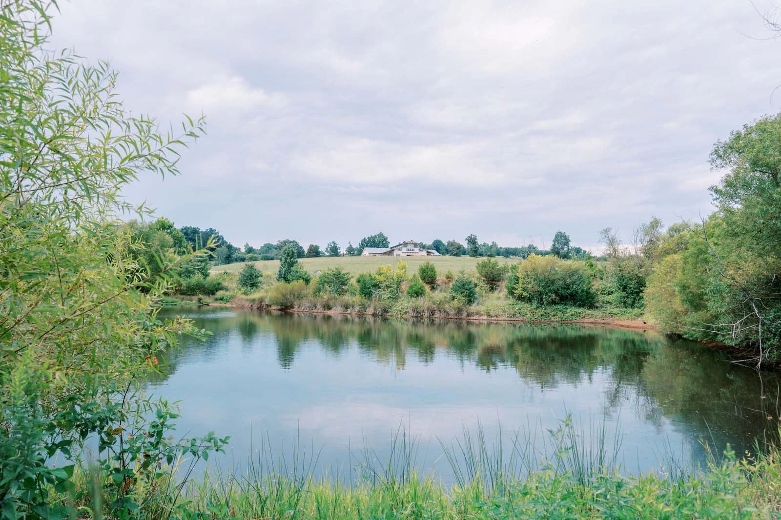 The pond at Ayoka Ranch, with trees reflected in the water and the venue on the hill beyond